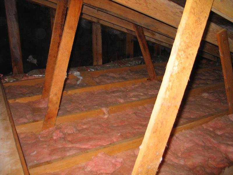 Mouse & Rodent Control in Wausau