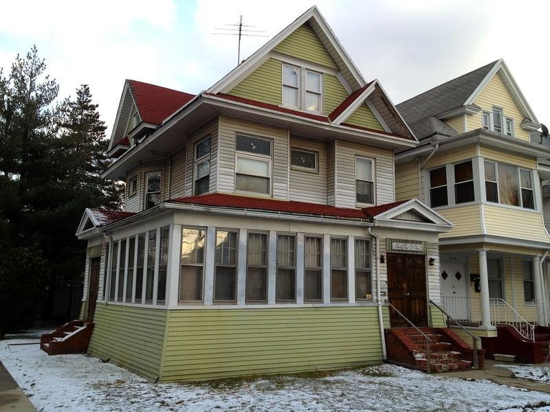 Wildlife Removal in Wausau